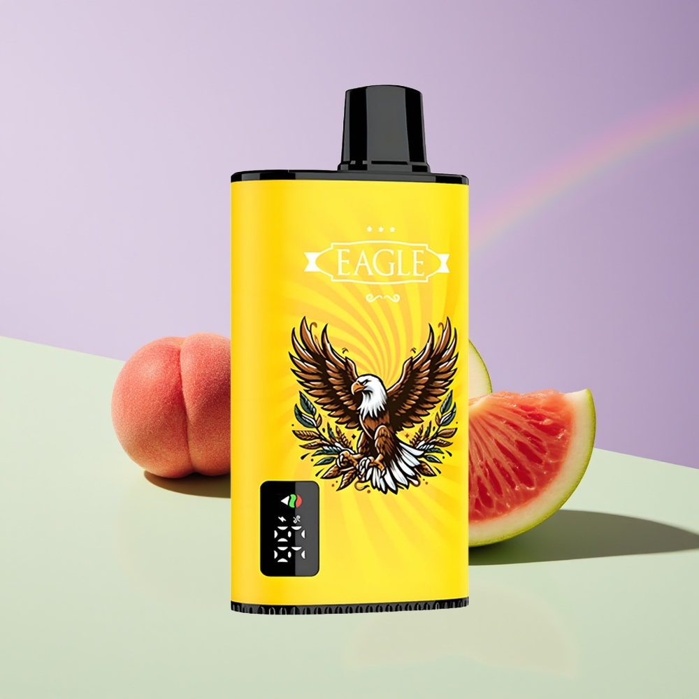 Wholesale Finland JNR EAGLE Smart 23000 Puffs Persikka Mango Vesimeloni Type-C