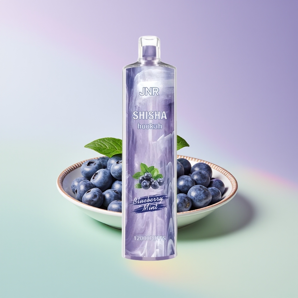 Wholesale Finland JNR Shisha Hookah 12000 Puffs Mustikka Mintti