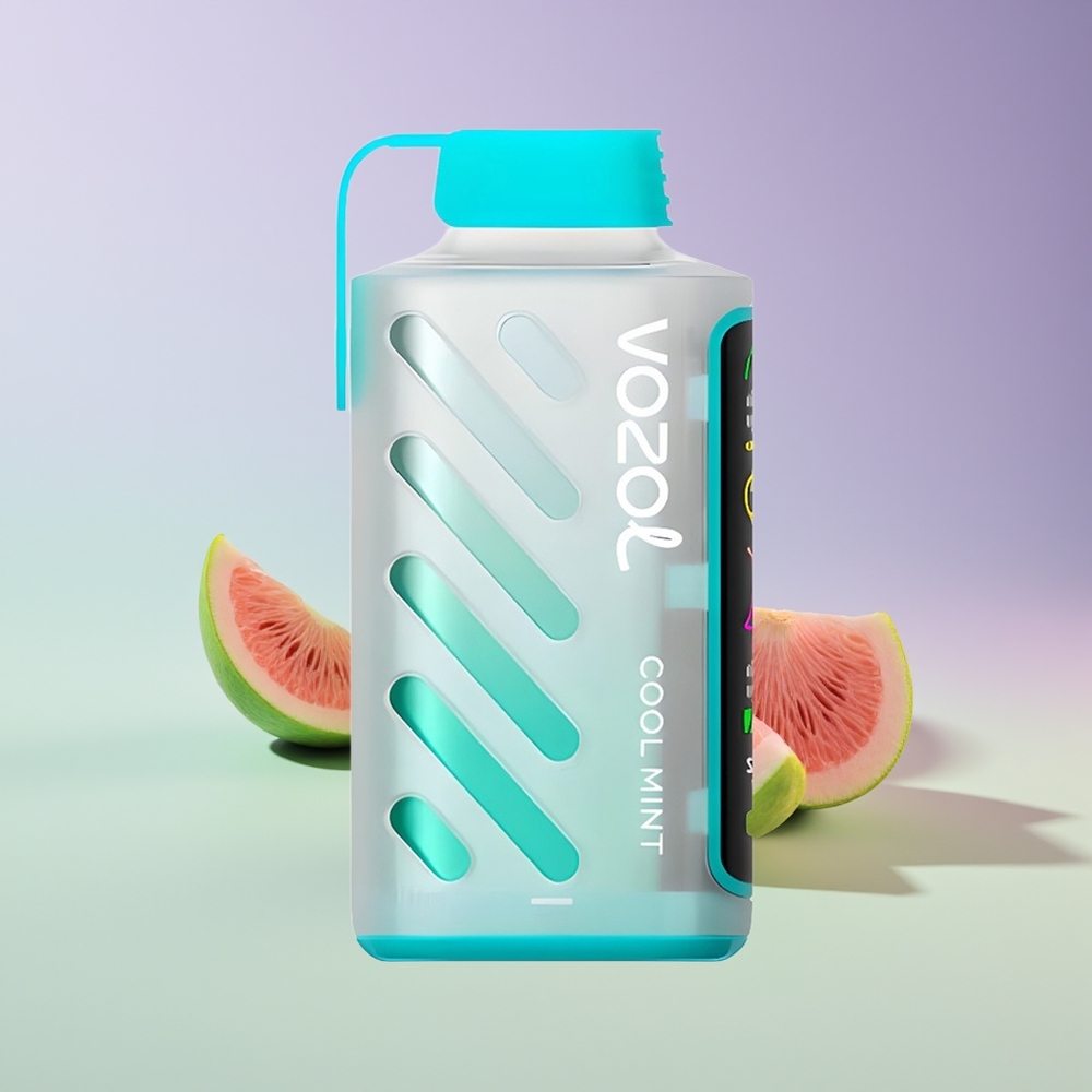 Wholesale Finland VOZOL Gear Power 20000 Puhallusta Viileä Minttu