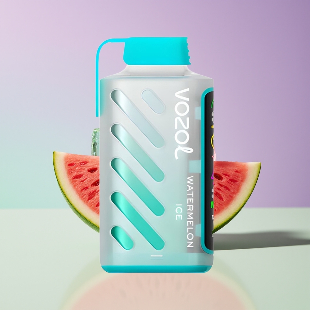 Wholesale Finland VOZOL Gear Power 20000 Pussukka Vesimelonijää