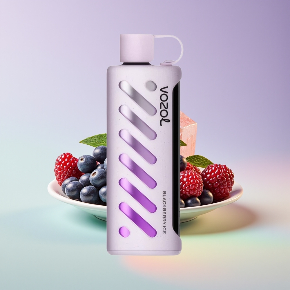 Wholesale Finland VOZOL Gear Shisha 25000 Puffaa Mustikka-Jää