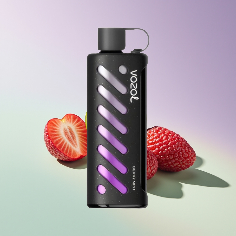 Wholesale Finland VOZOL Gear Shisha 25000 Puffs Marja-Minttu