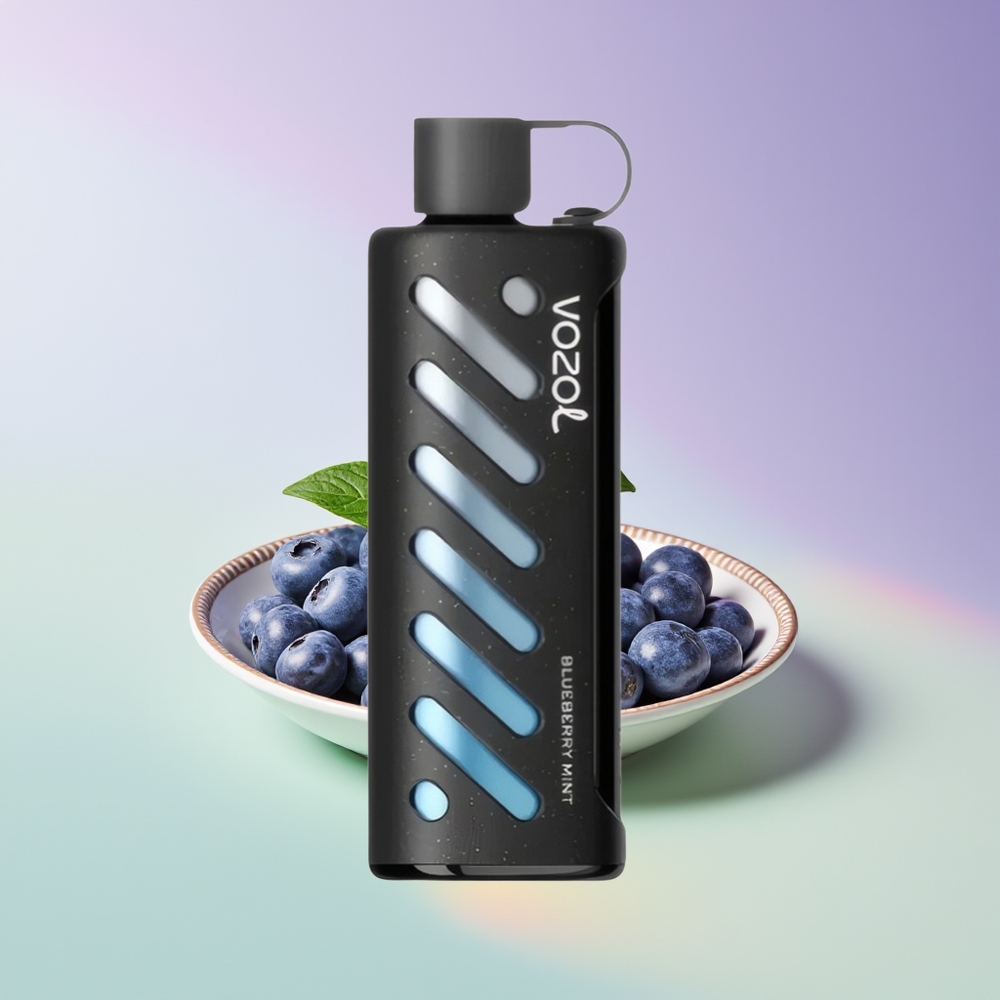 Wholesale Finland VOZOL Gear Shisha 25000 Puhallusta Mustikka Minttu