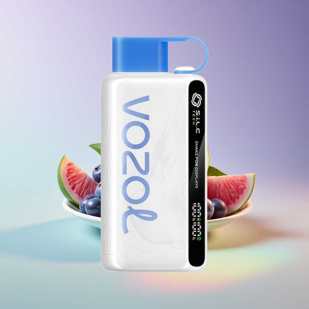 Wholesale Finland VOZOL STAR 9000/12000 Puffs Mustikkamyrsky