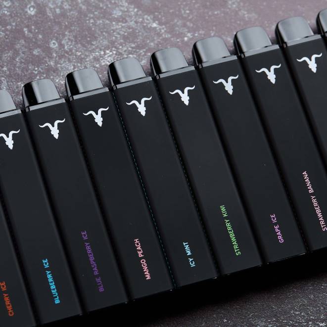 IGNITE V15 vape kynä - IGNITE Disposable Vape Review ZJRL117 vesimeloni jäätä